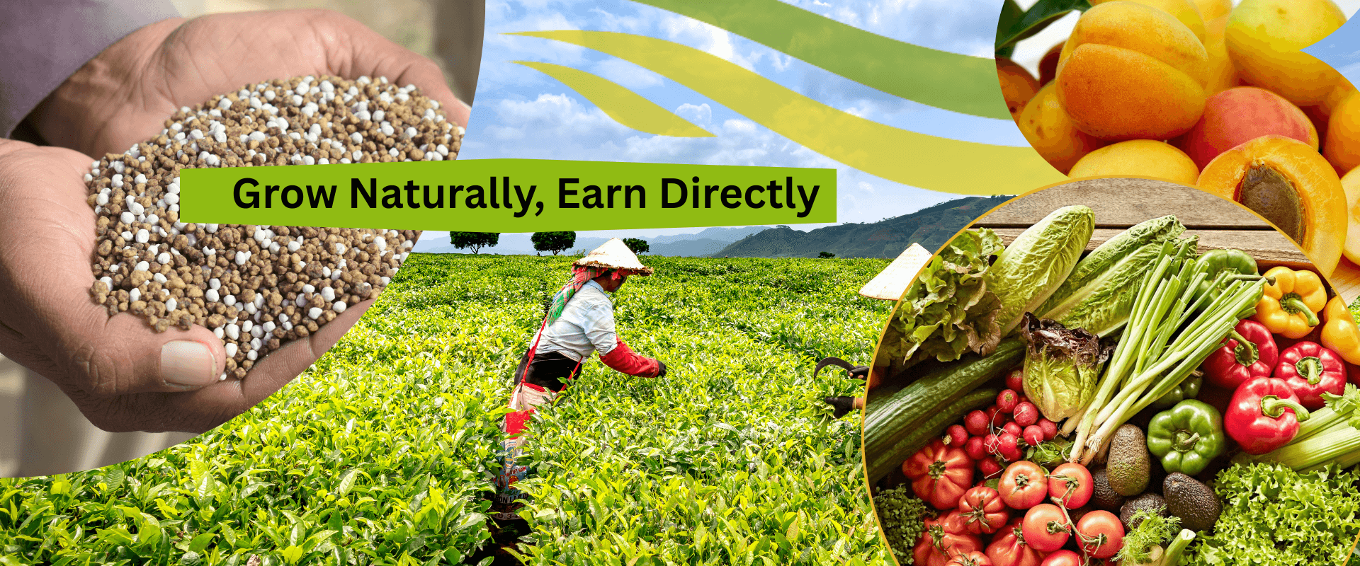 Grow Naturally with Direct Selling